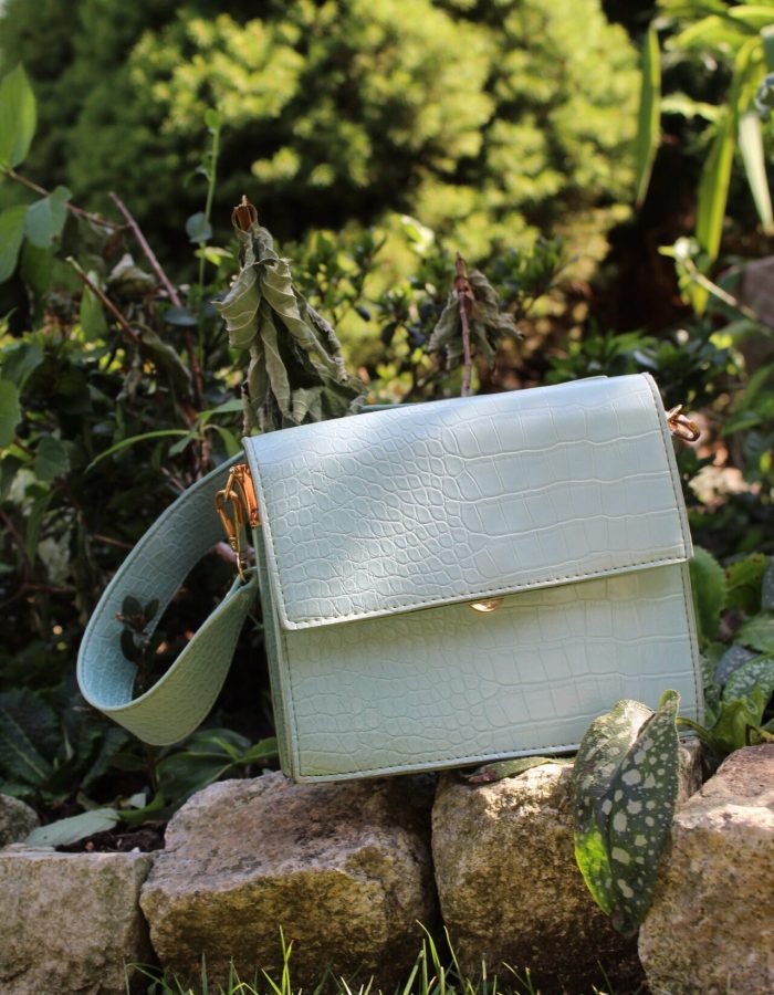 20240715154950_IMG_9231